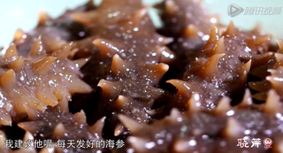 海參進(jìn)補(bǔ)從娃娃抓起，兒童吃海參的好處！